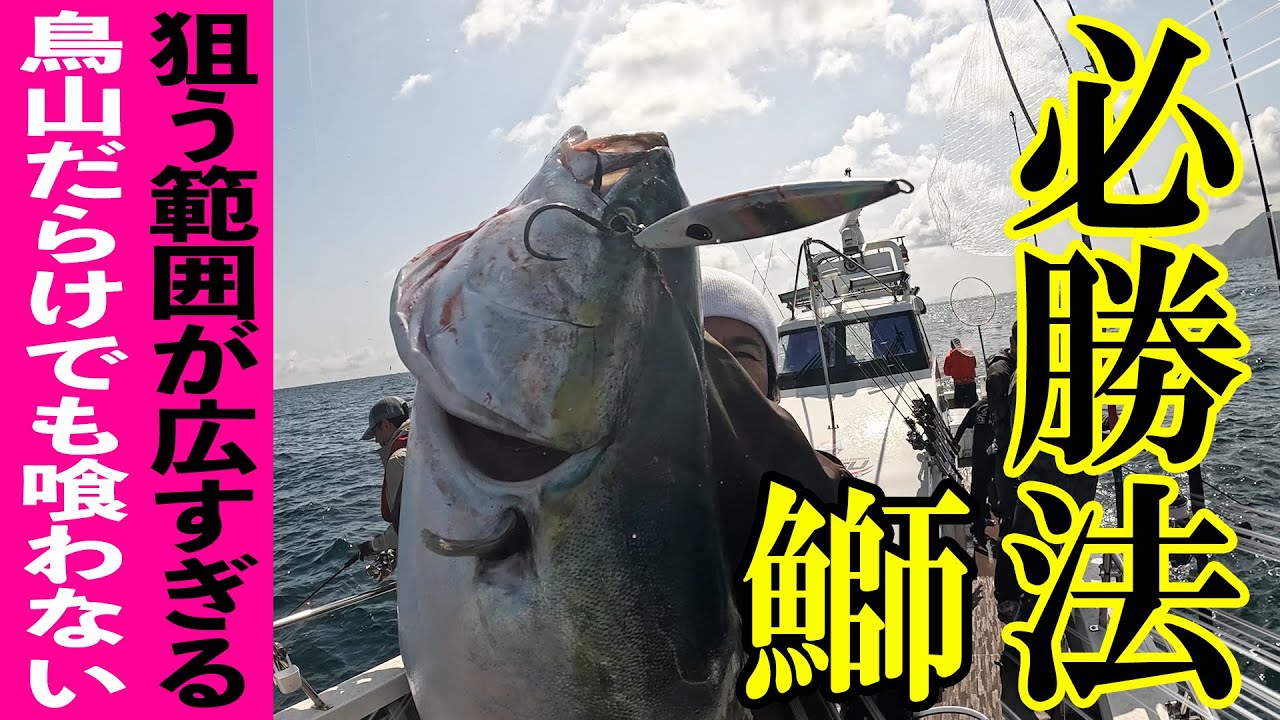 大鳥山発生！！！ボトムから表層までイワシだらけ！！！【丹後ジギング】