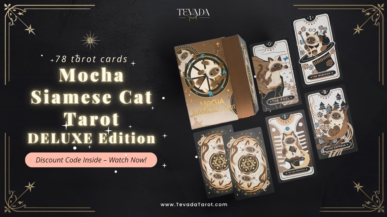 Mocha Siamese Cat Tarot – Flip Through: Paws of Wisdom & Whisker Magic 🐾☕ 