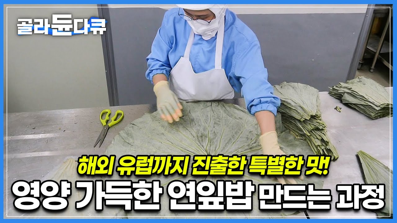 100% 수작업, 하루에 만드는 연잎밥만 5,000여 개!│연잎 농장에서 한 번에 받아 오는 연잎의 양만 무려 약 1톤│영양 가득한 연잎밥│극한직업│#골라듄다큐