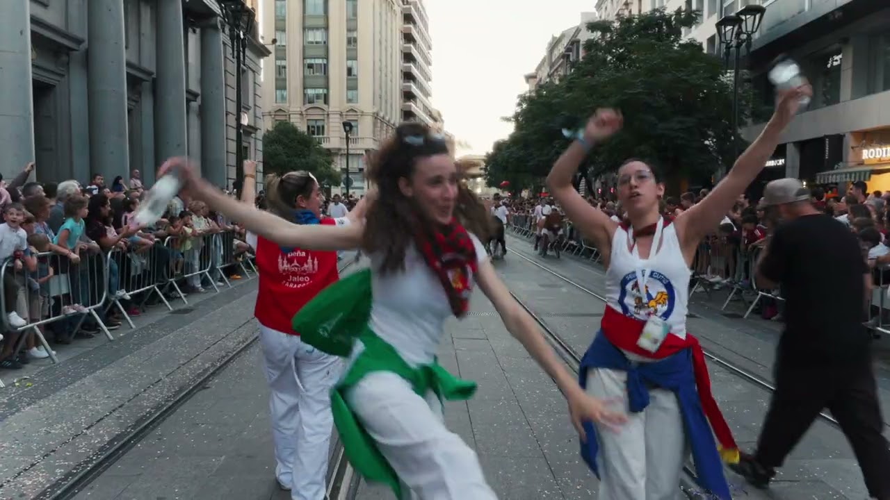 Pasacalles Fiestas del Pilar 2025