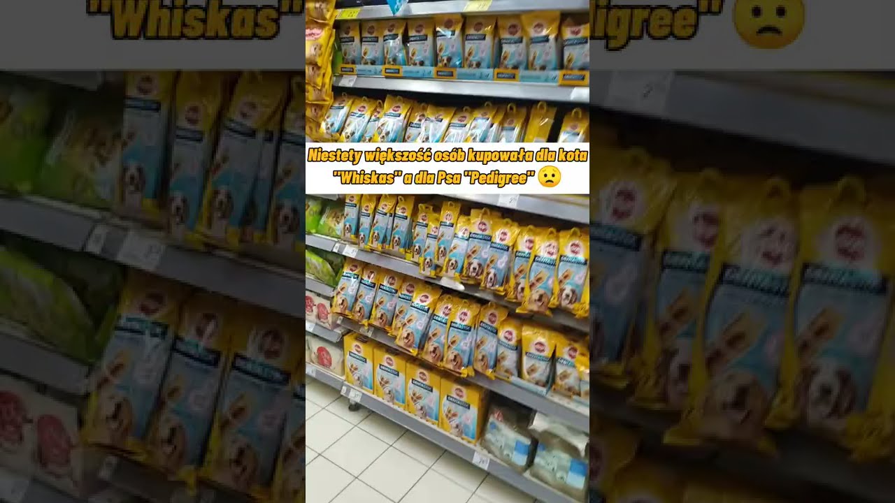 Będziesz zaskoczony wyborem najlepszych karm z Carrefour dla kota i psa