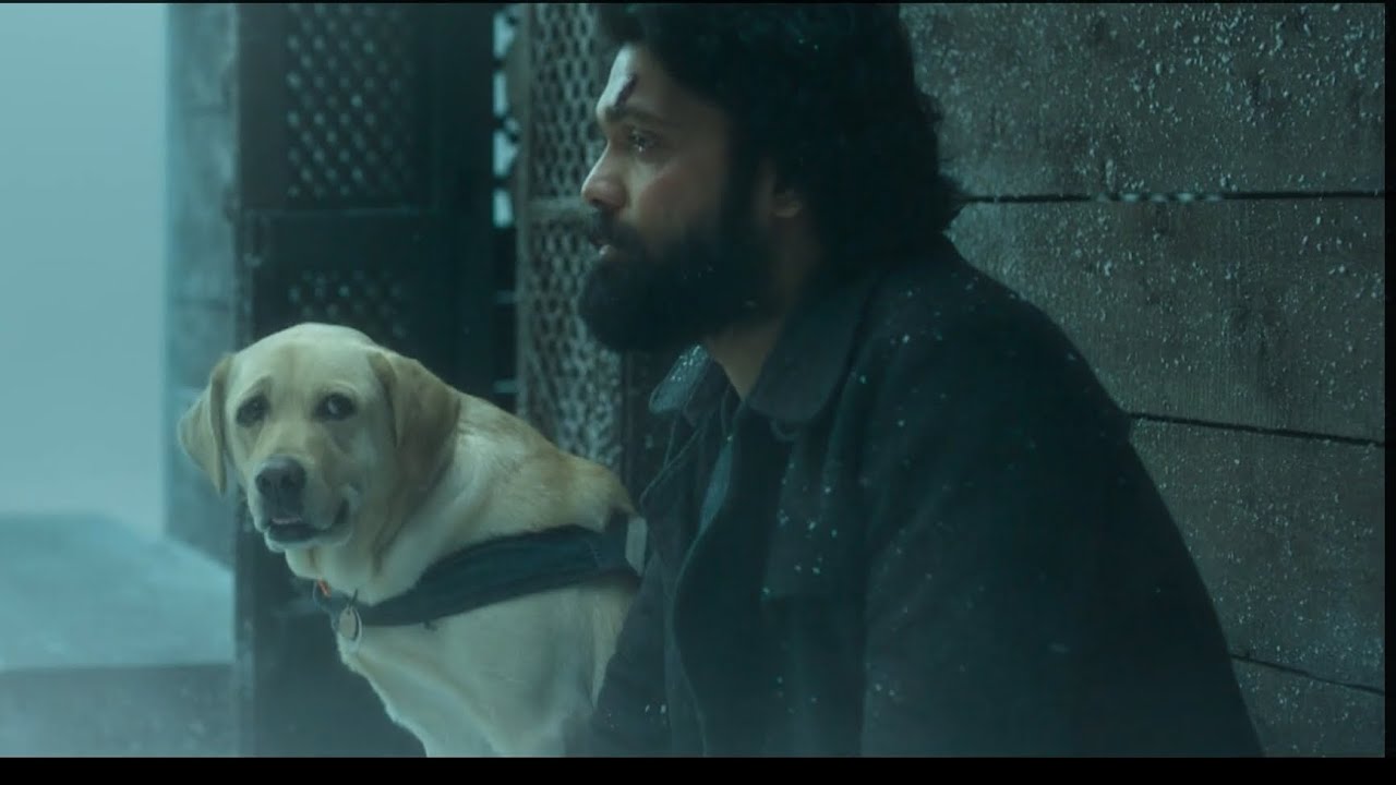 777 Charlie Movie BGM 👍🐕