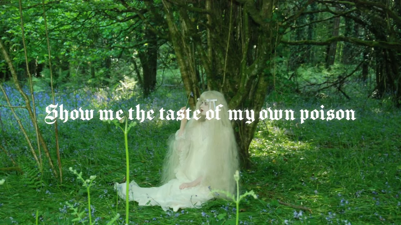 The taste of my own poison - INSTRUMENTAL/KARAOKE bambi baker