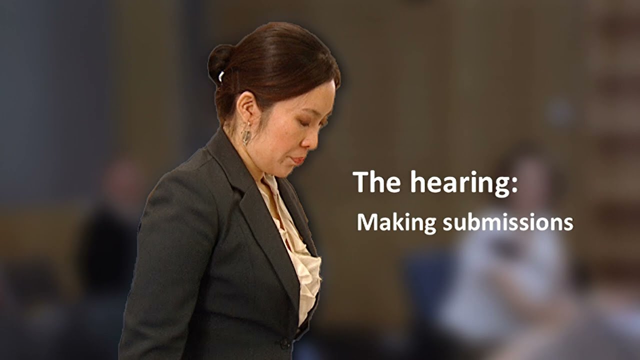 The hearing - Making submissions