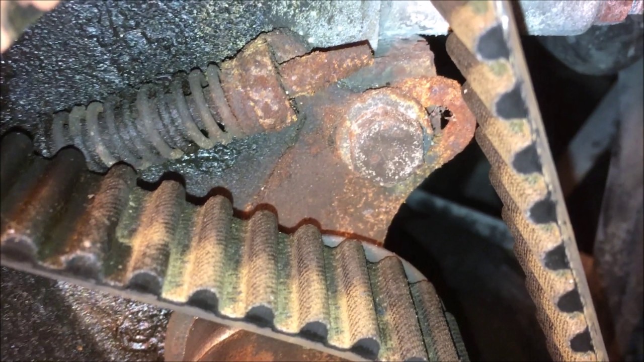 BMW 528E Timing Belt, Water Pump, Thermostat housing