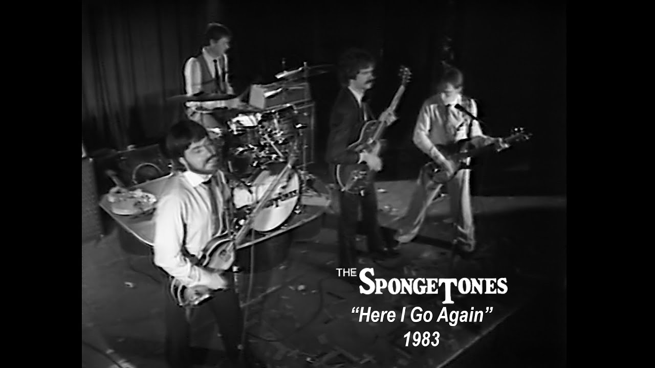 THE SPONGETONES 