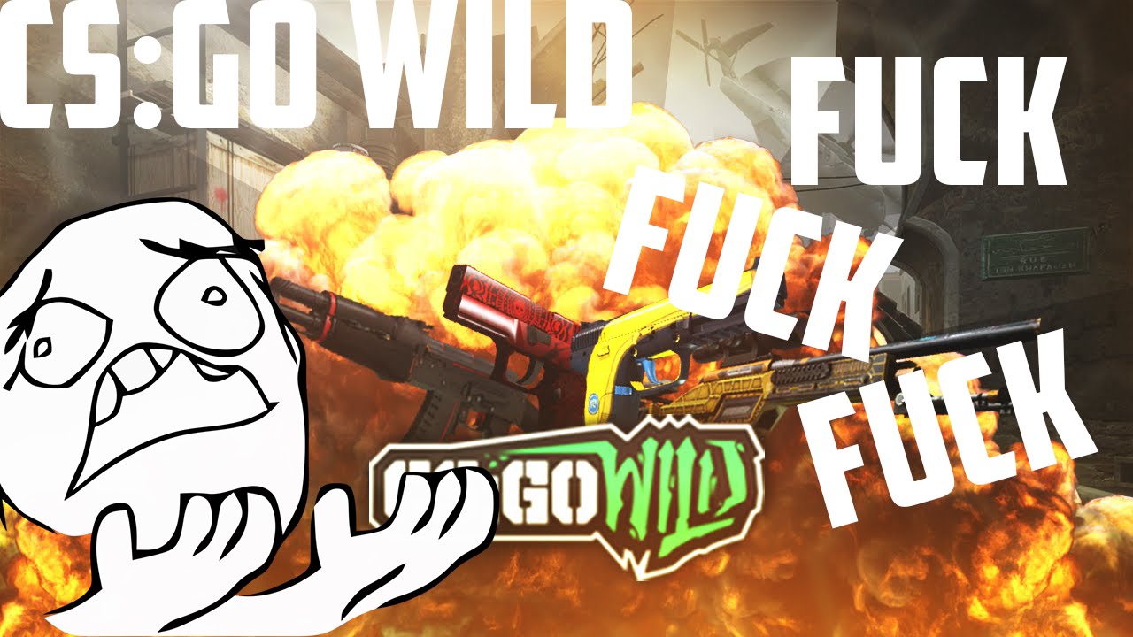 MY STORY WITH CS:GO WILD