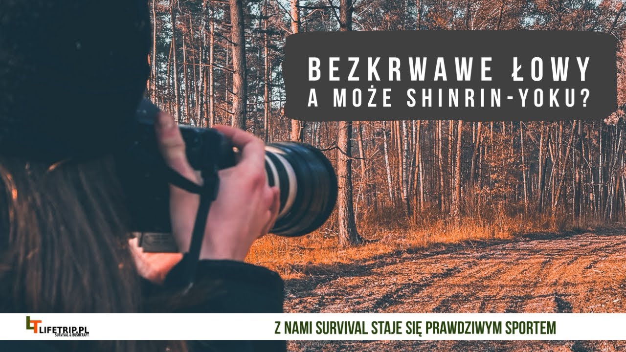 Bezkrwawe Łowy, a Może ShinRin Yoku?