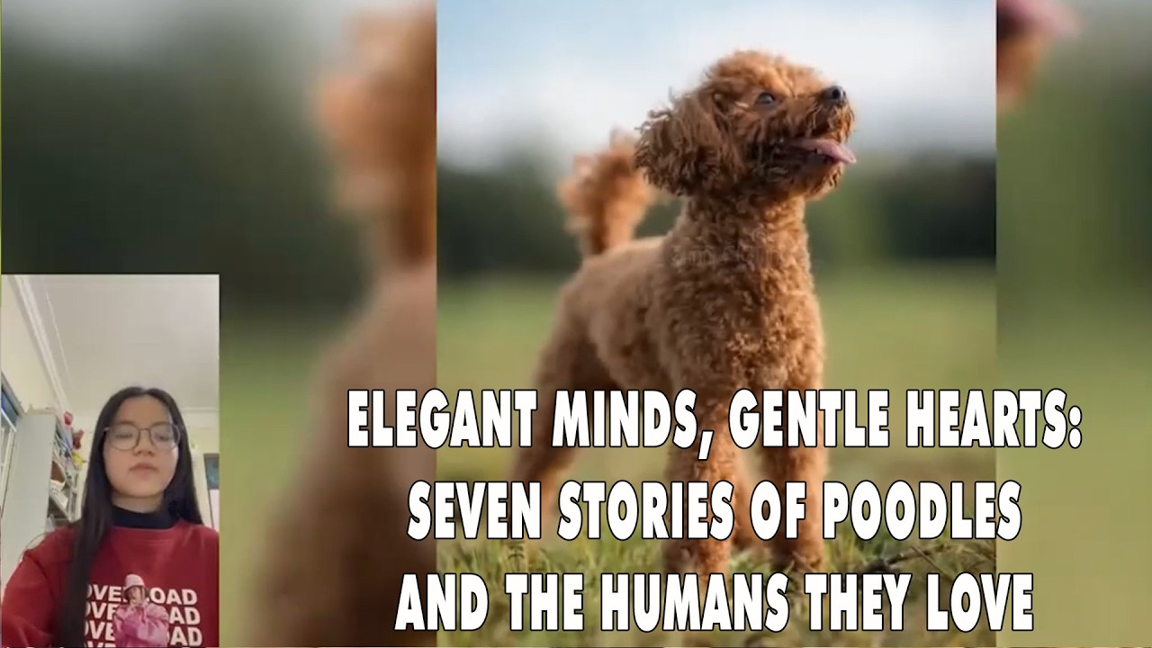 Corridos Pesados Norteños 🔥 Los Tucanes de Tijuana | Mix Corridos Bravos 2026