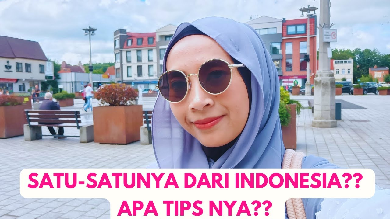 Tips Tembus Beasiswa Eropa Sekali Coba | Beasiswa Romania S1, S2, S3 Anti Ribet