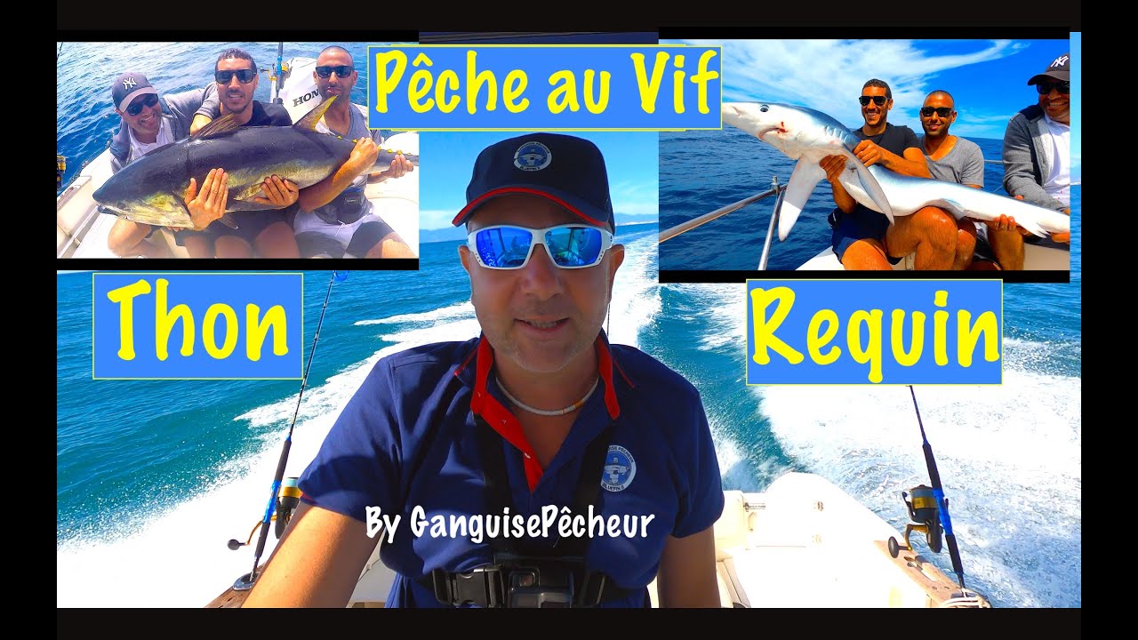 "Tuto" Pêche au Vif  Requin &Thon  " bas de ligne " Acier  Broumé