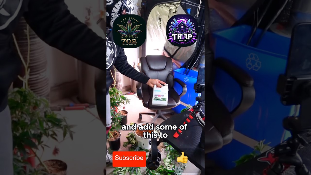 How I Feed My Plants with Botanicare Nutrients | 702 Exotic Feeding Tips