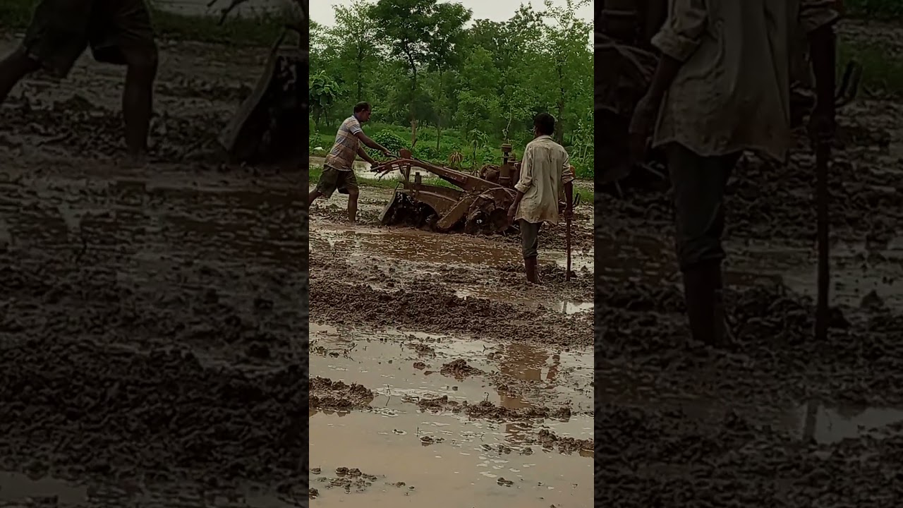 धान 🌾 के लिए puddling suru #powertiller #farmequipment #farming #tractor #agriculture