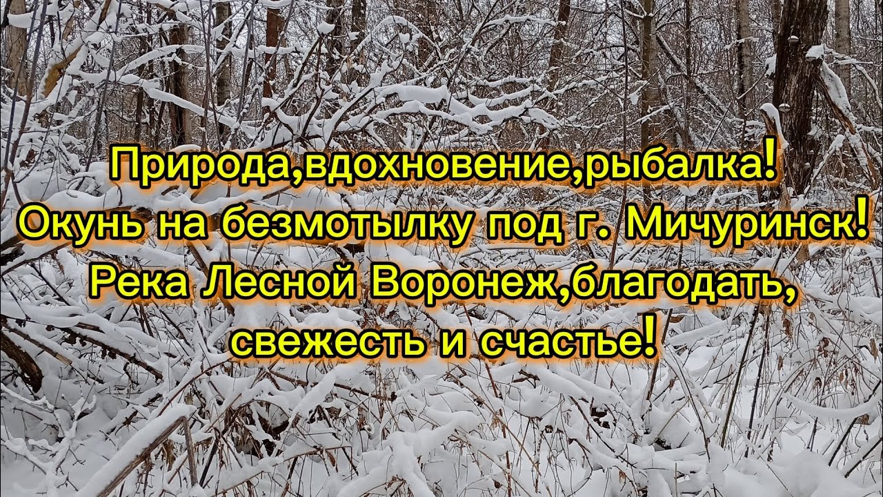 Природа,вдохновение,рыбалка! Окунь на безмотылку под г. Мичуринск! Река, благодать, радость,счастье!