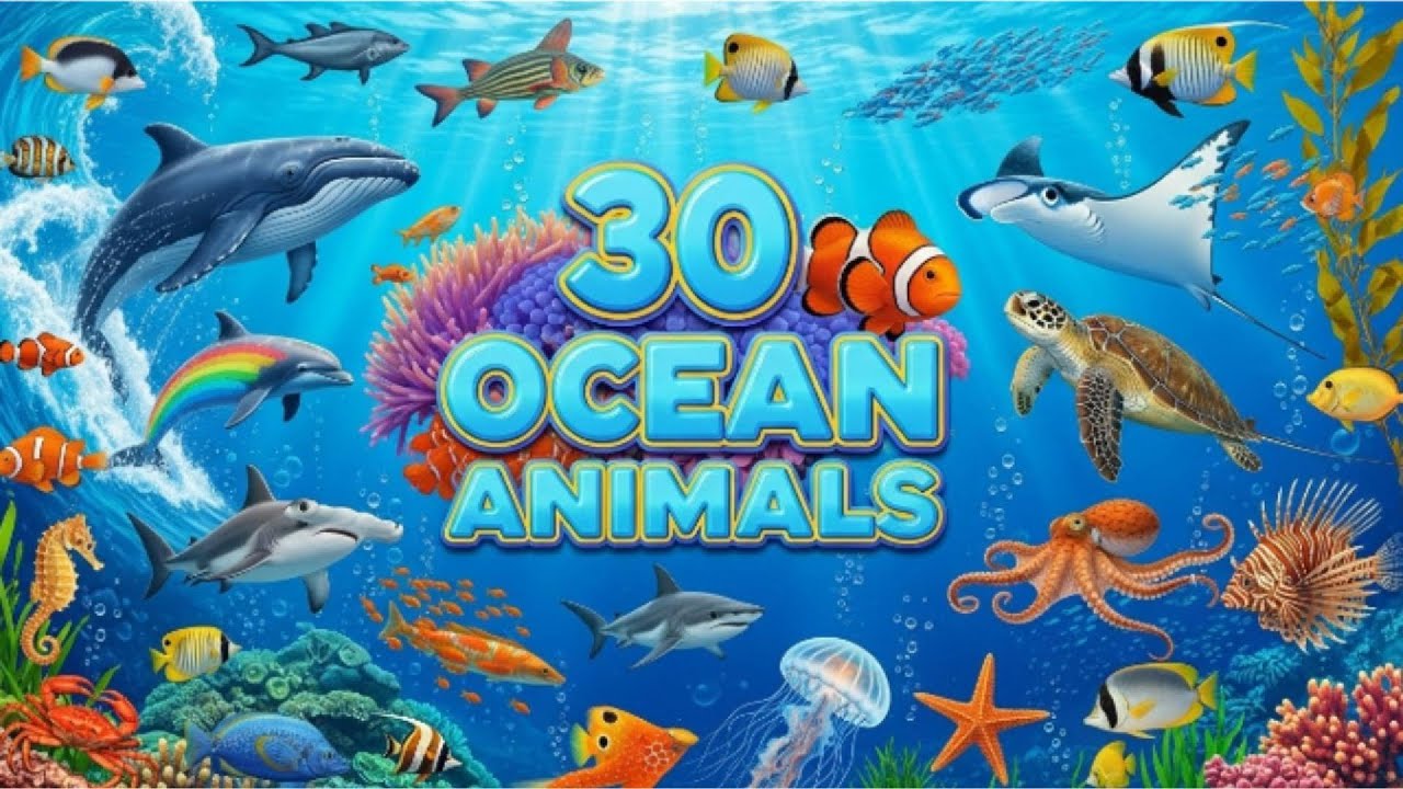 30 Ocean Animals | Ocean Animals for kids/toddlers | Learn animal names 