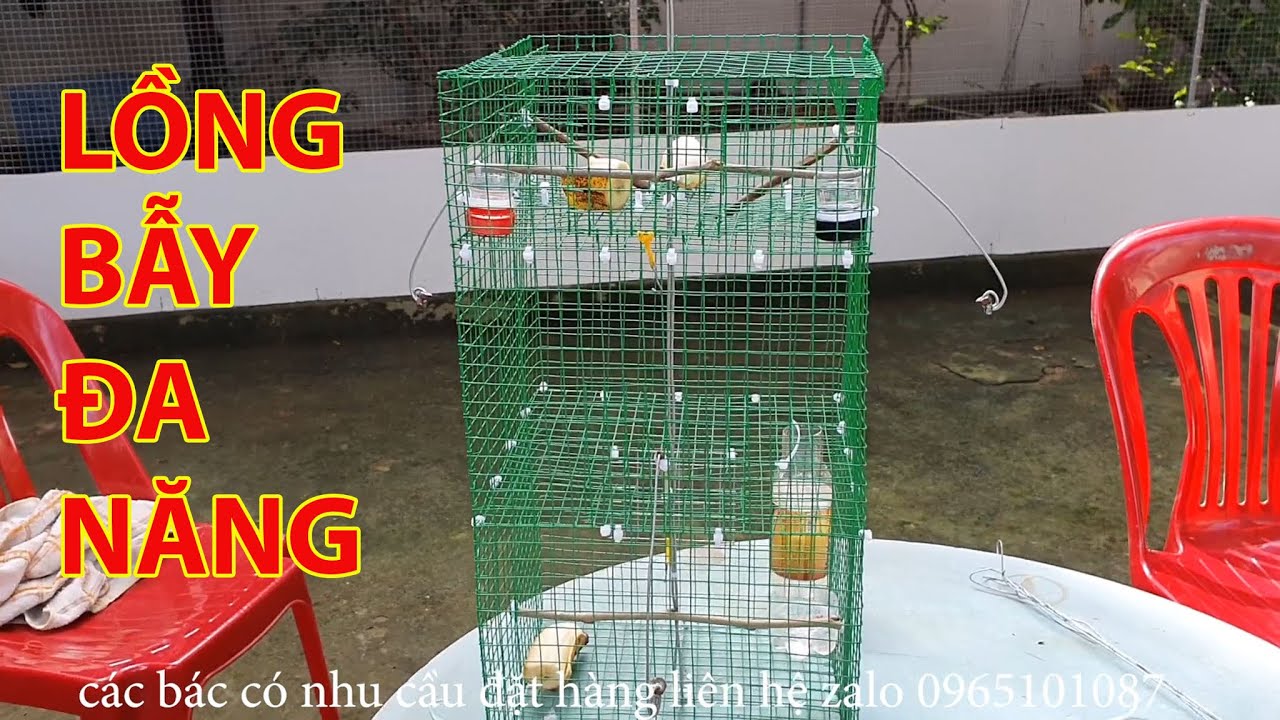Làm lồng bẫy chim khuyên đa năng chi tết cho anh em đam mê