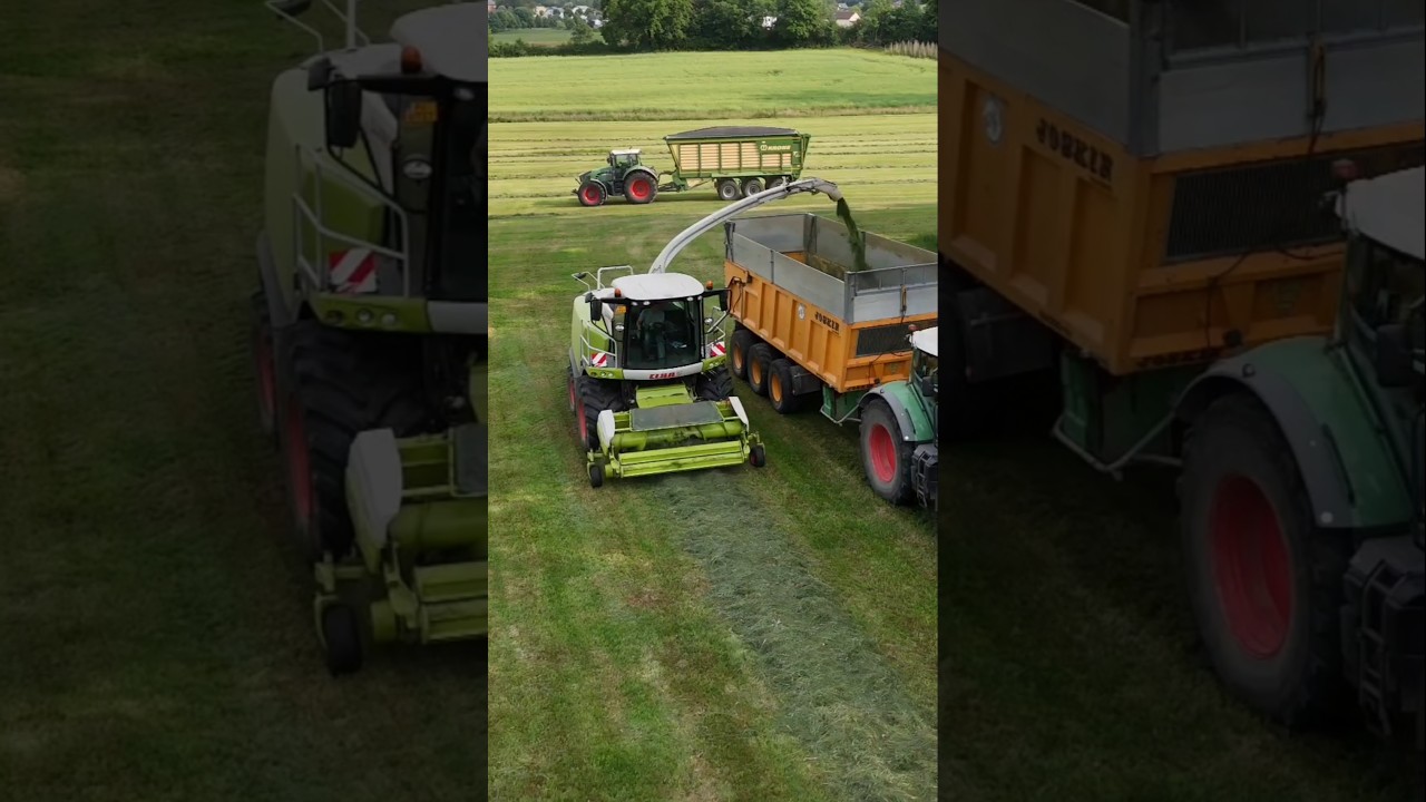 2ter Schnitt mit Claas Jaguar 850 #farming #agriculture #landwirtschaft #fendt #joskin #krone