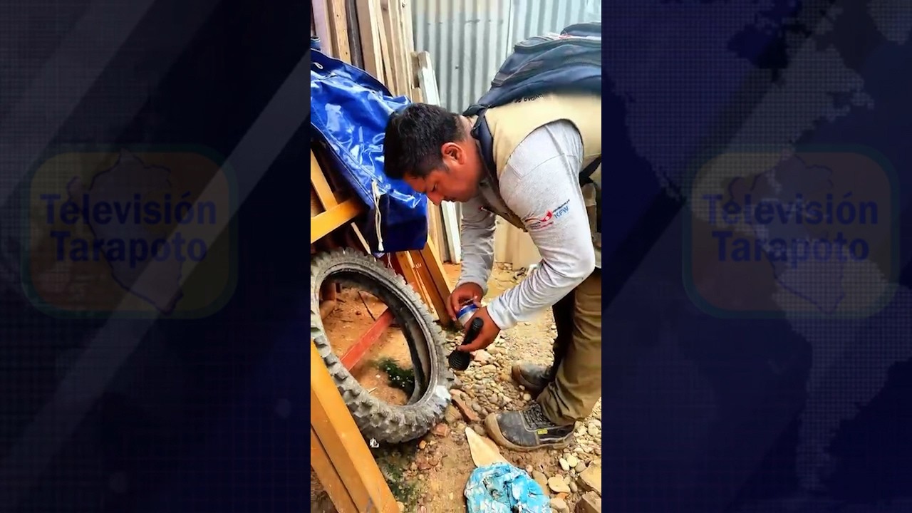 Joven de 22 años natural de San Antonio de Cumbaza es la primera víctima de dengue de presente año