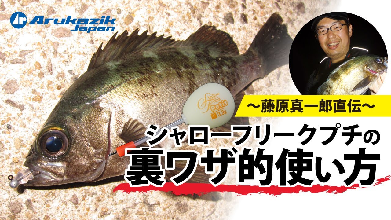 【メバリング】爆釣!堤防メバリング!!～藤原真一郎直伝・シャローフリークプチの裏技的使い方～【アジング】