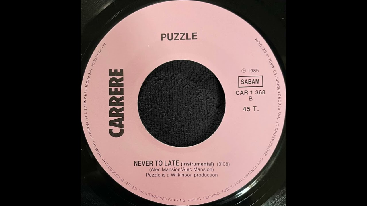 Puzzle - Never Too Late (Instrumental)
