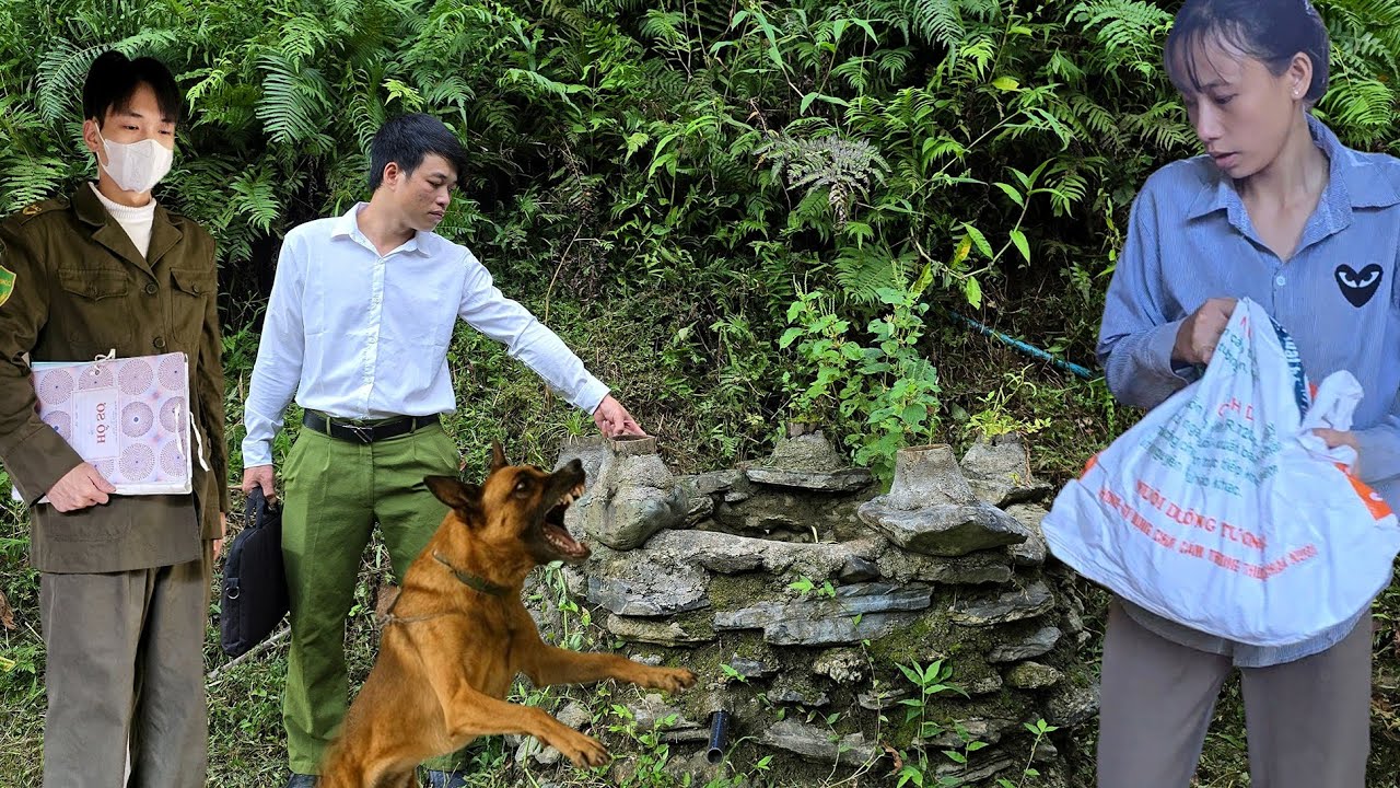 What happened to police Huong family - the mystery of Hoang disappearance is gradually revealed