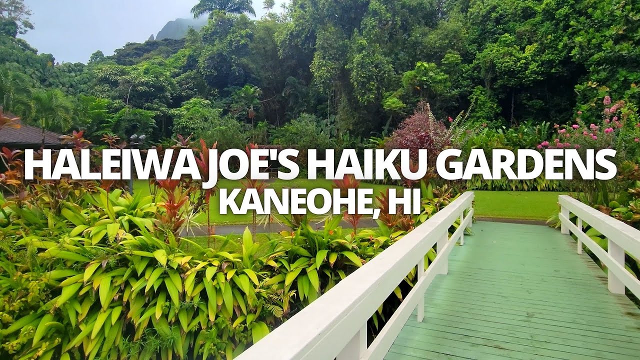 Exploring Haleiwa Joe's Haiku Gardens in Kaneohe, Hawaii USA Walking Tour 