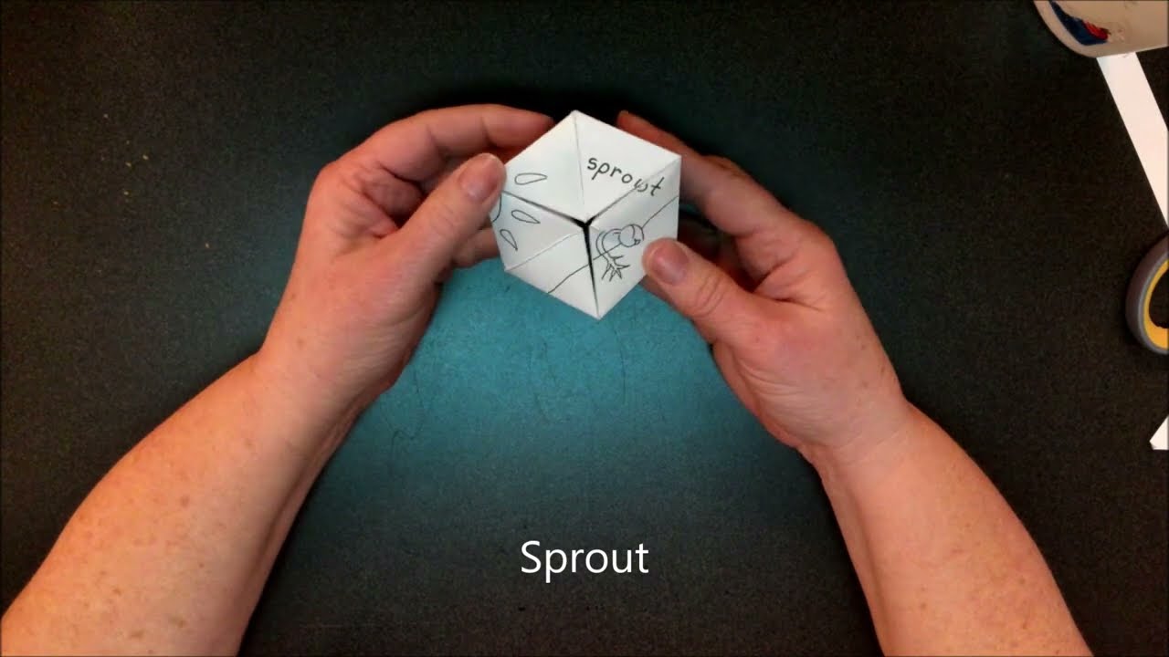 Making a Kaleidocycle