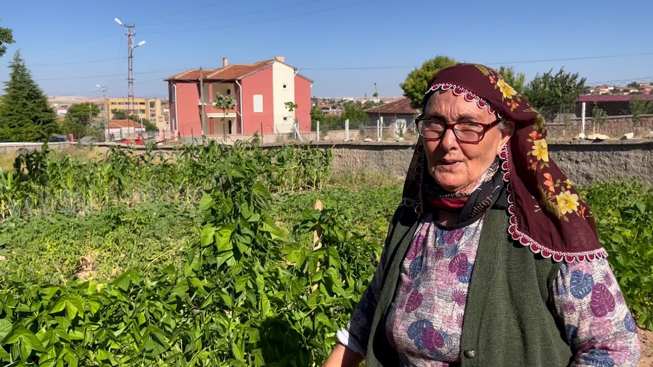 Sibel wanders in... Turkey | Yenifakili (Yozgat) 2