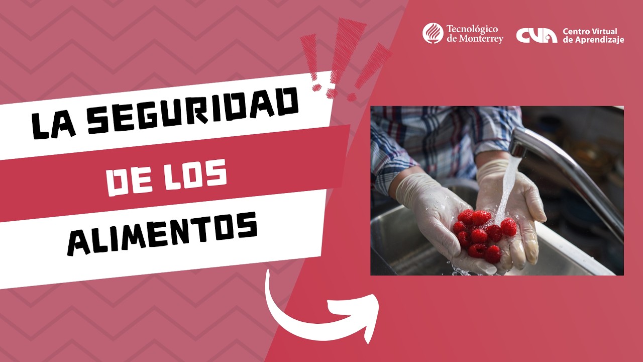 ¿Qué es la seguridad alimentaria?