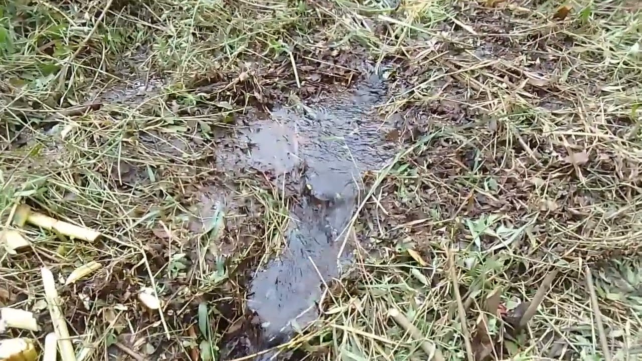 Como secar um brejo