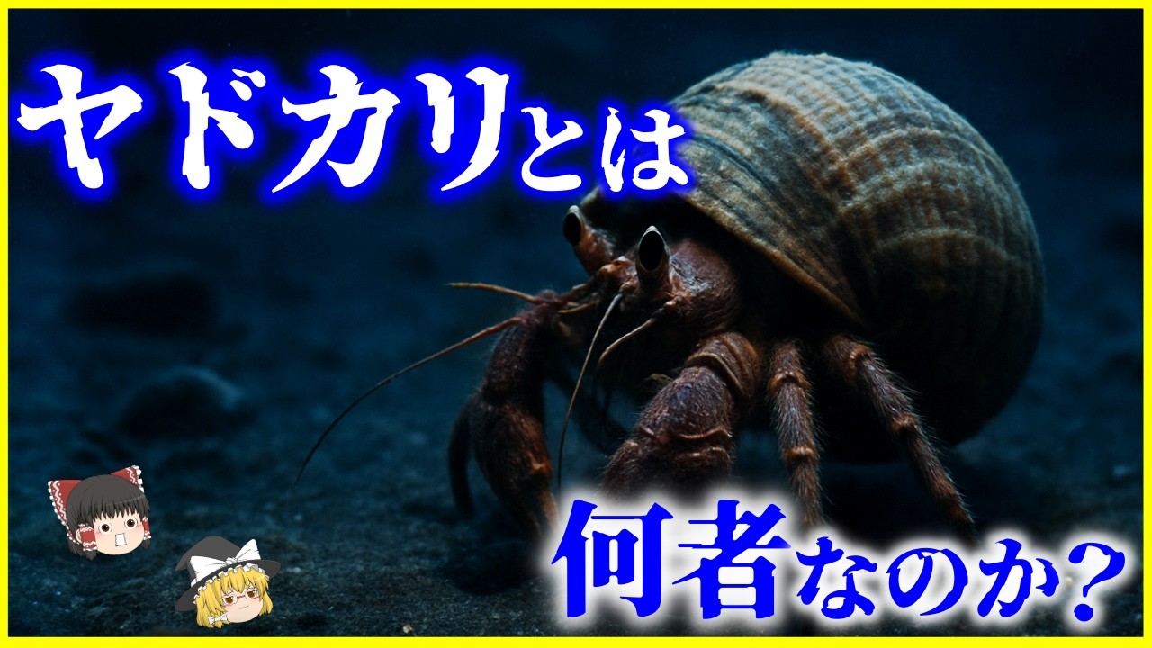 【ゆっくり解説】なぜ&ldquo;他人の殻&rdquo;を使うのか？「ヤドカリ」とは何者なのか？を解説/宿を借りる進化戦略&hellip;食べたらどんな味？