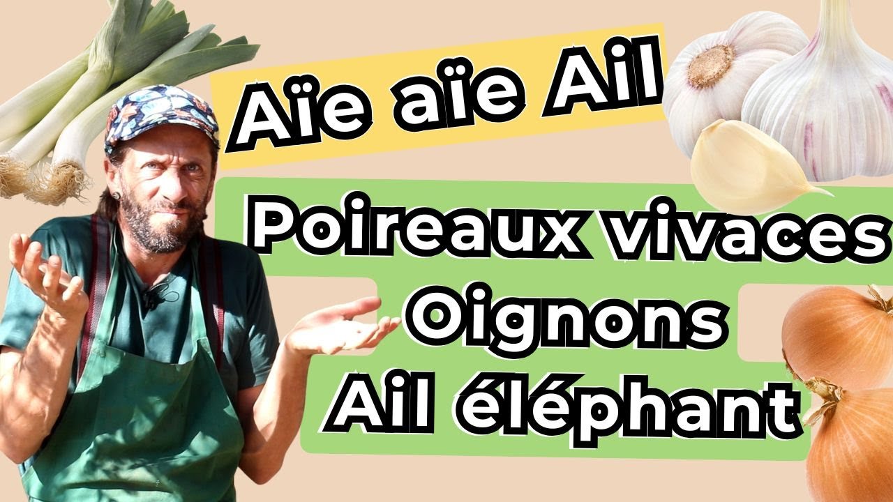 Diff&eacute;rencier poireaux perp&eacute;tuel, oignons et ail &eacute;l&eacute;phant...Facile !
