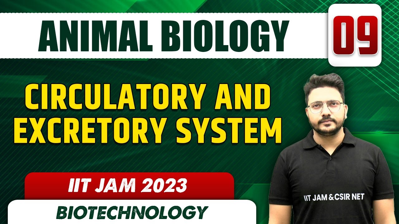 Circulatory and Excretory System  l Animal Biology 09 l IIT JAM 2023