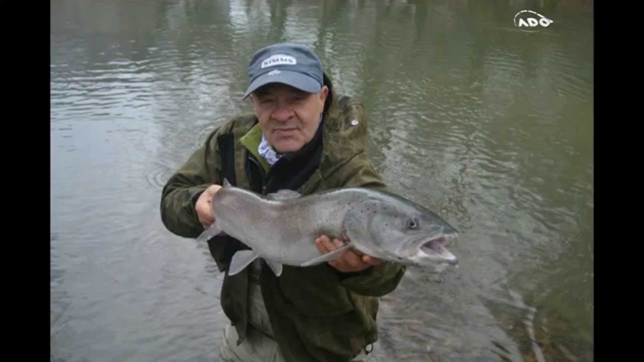 Trailer-Hucho fishing on Krivaja River