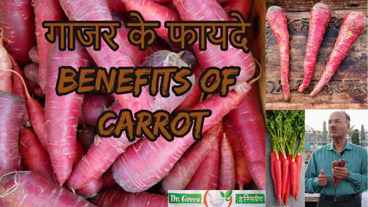 गाजर के फायदे Benefits of Carrot Hindi(ગાજર)DR HITESH JANI(Dr Green Ayurvedic)