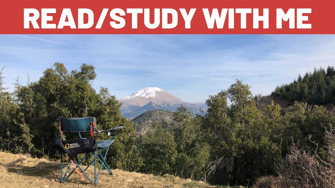 Read/Study With Me One Hour | Background Noise, Bird Sounds,  No Music