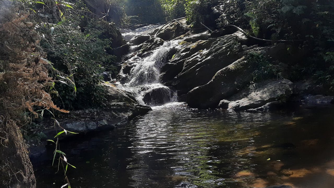In Elixir Hills Munnar