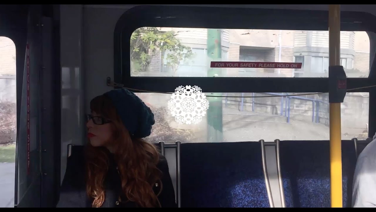 A Freelancer's Life: Pacific Spirit Park