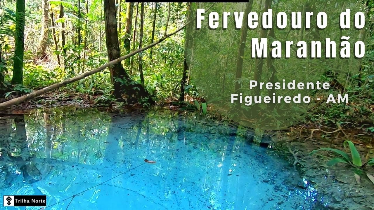 ✅ Presidente Figueiredo-AM  |  Lagoa azul e fervedouro do Maranhão