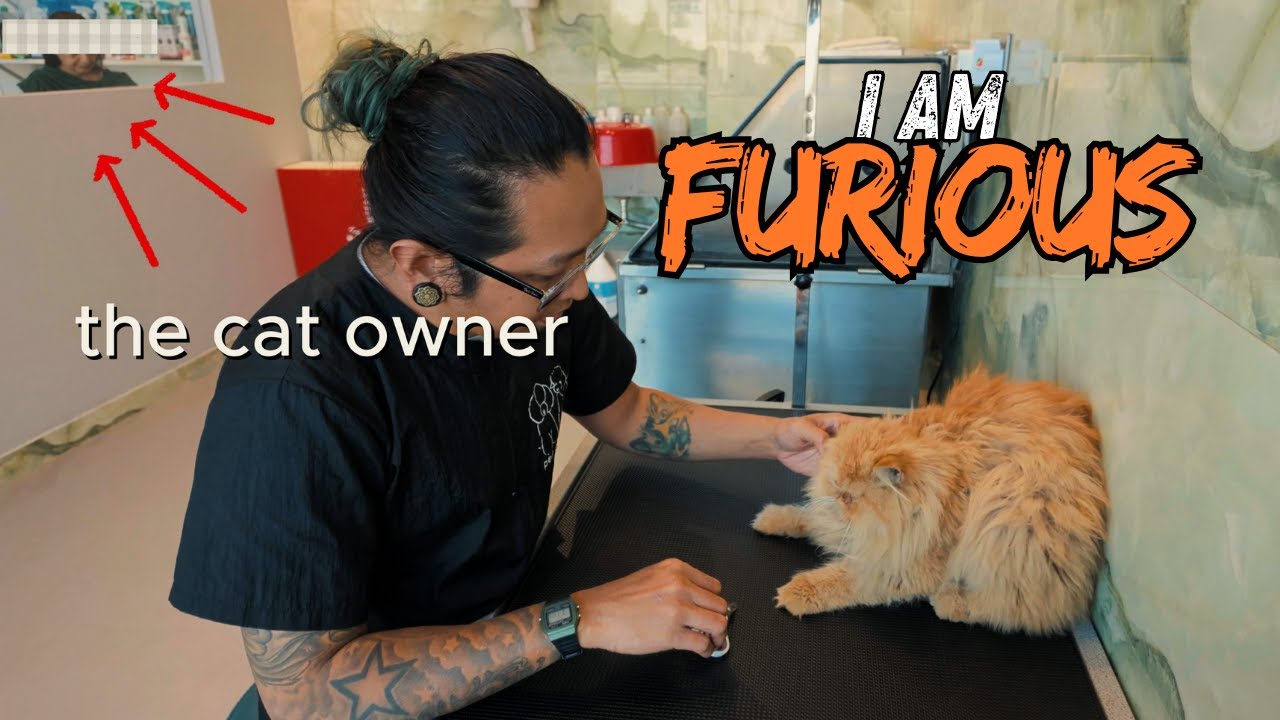 I'm Furious with this Cat's owner. Brought this cat in very bad condition and complains.