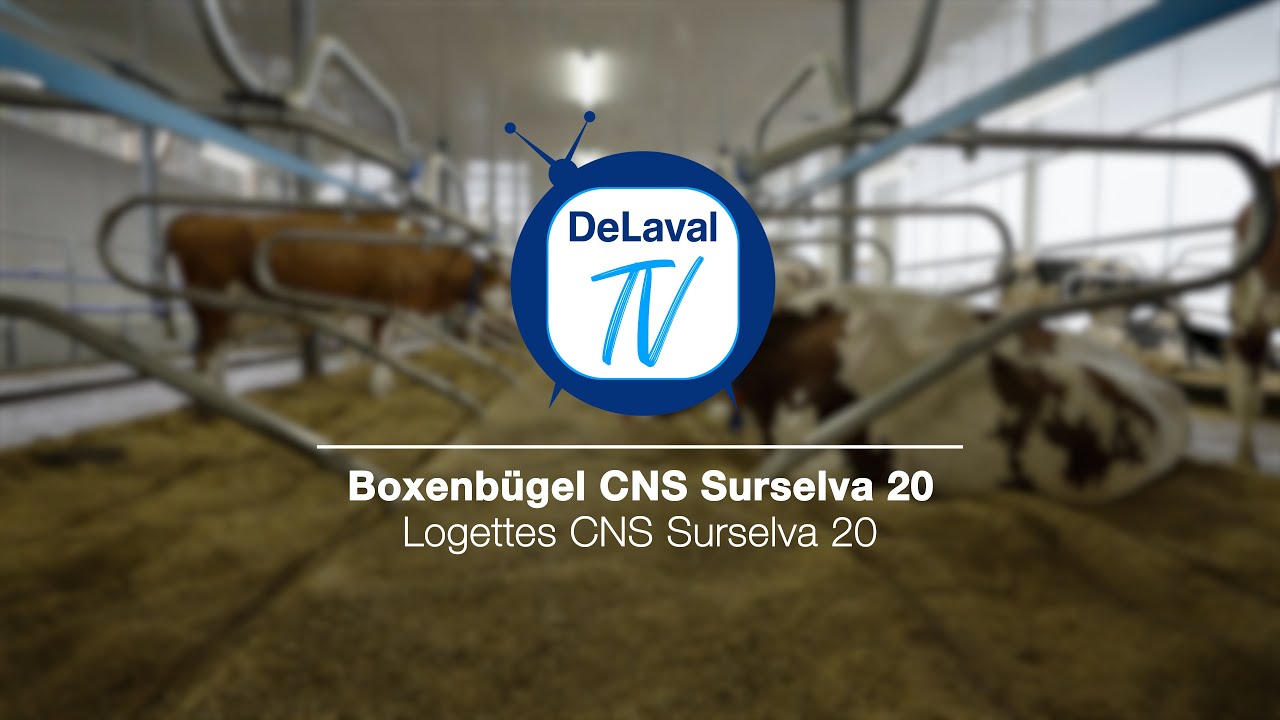 DeLaval TV: Der Boxenbügel CNS Surselva 20 - Logettes CNS Surselva 20