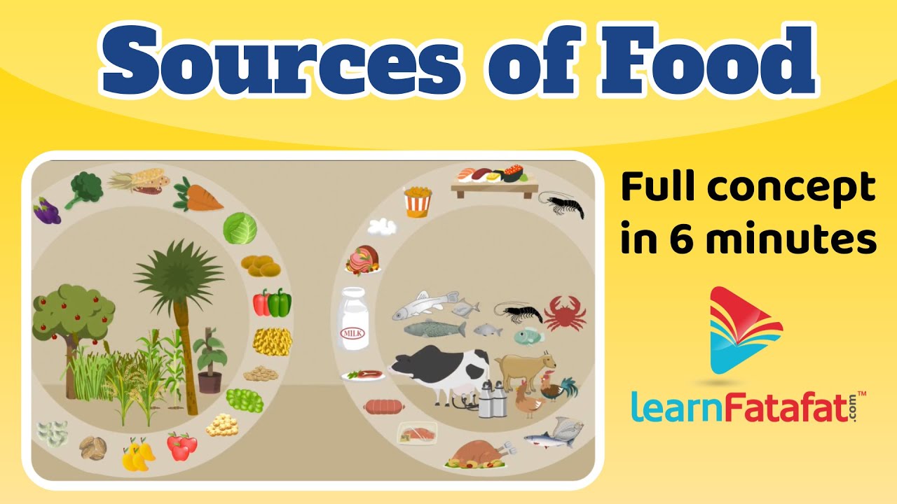 Sources of food | Class 6 Chapter 1 Food Where Does in Comes from ? | CBSE - LearnFatafat
