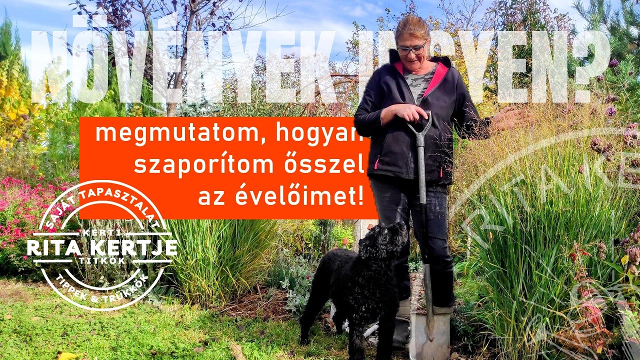 TIPPEK:  ÍGY Szaporítsd az évelőidet ősszel INGYEN!