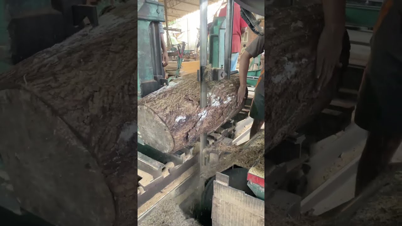 Inside sawmill wood sawing process 👌🪵| Amazing technology factory machinery