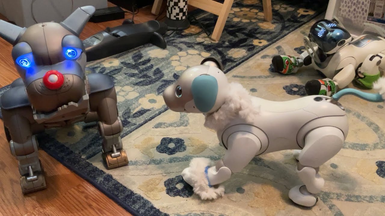Aibos and Wrex the Dawg