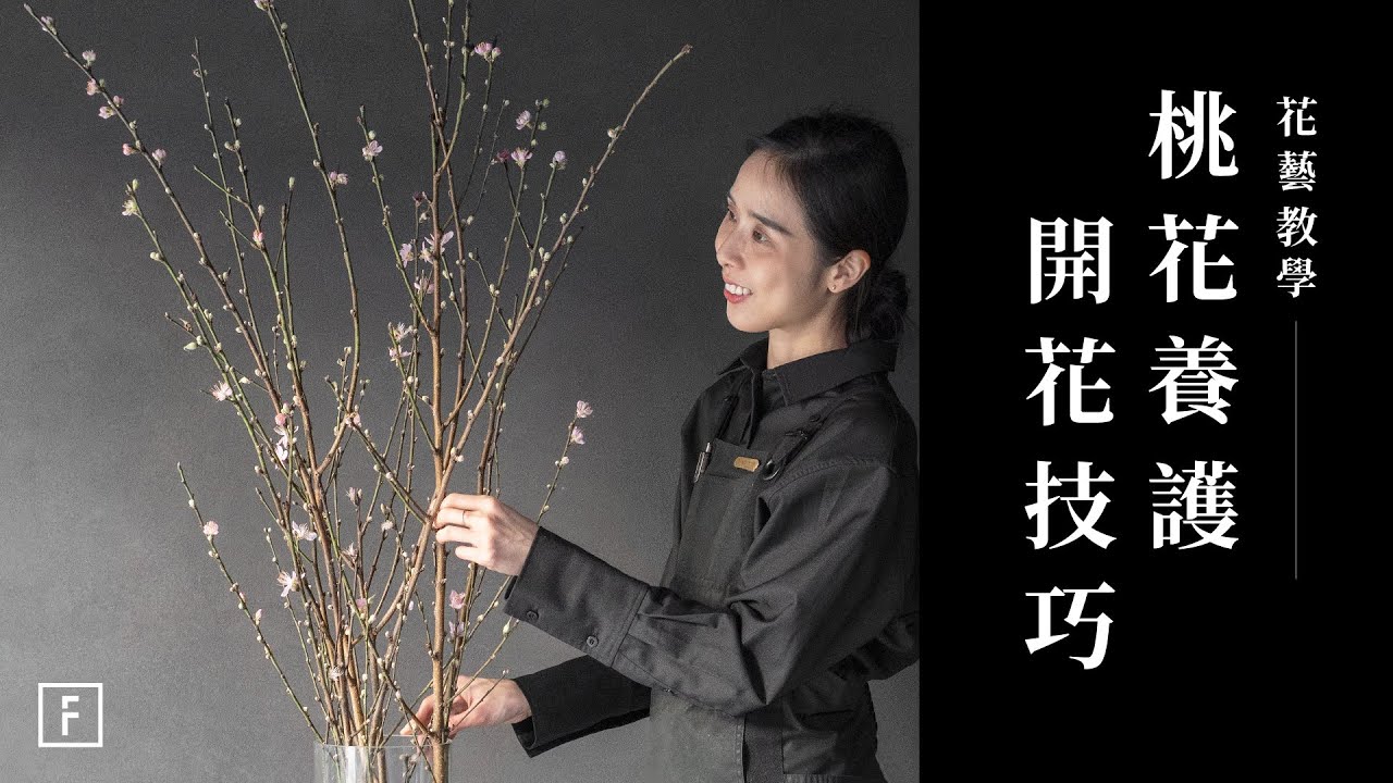 新手養護！三招讓你的桃花朵朵開｜花藝教學｜花裡 FORi Flower