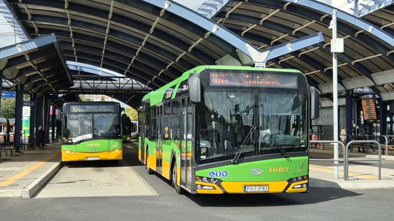 Autobusy w Poznaniu - latem 2025