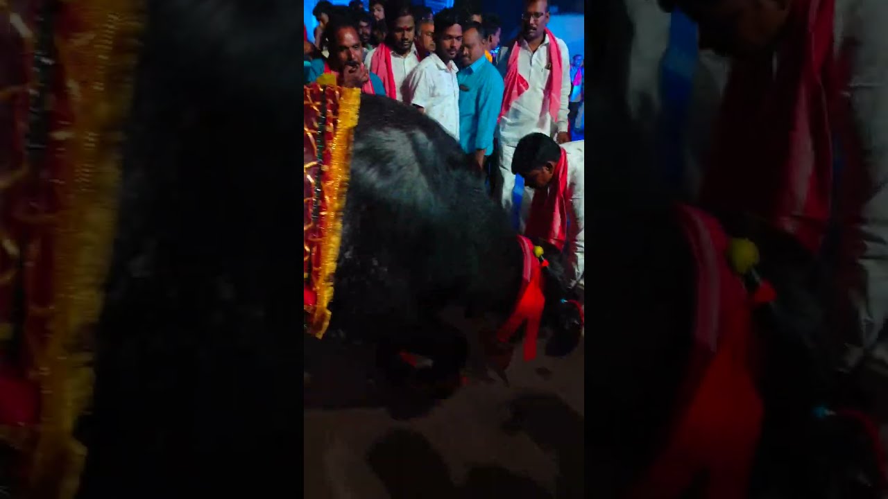 sadar manchirevula