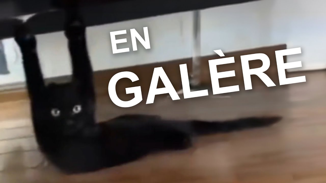 EN GAL&Egrave;RE