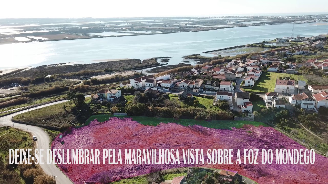 Vila Verde - Figueira da Foz